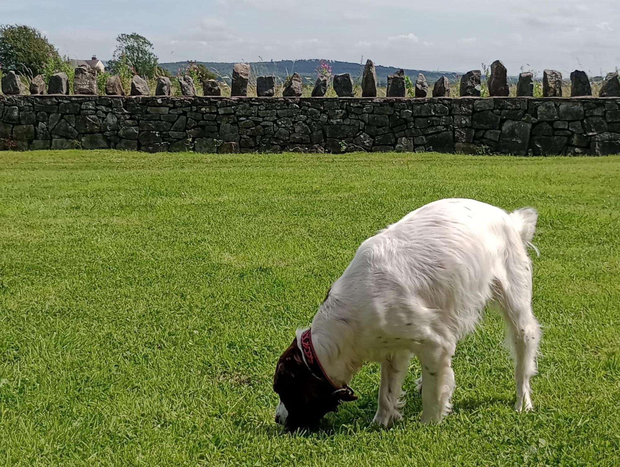 Sunnyside Farm Grange-over-Sands