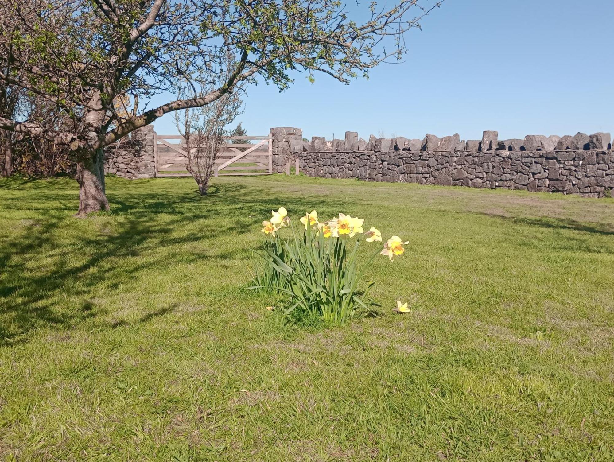 Sunnyside Farm * Grange-over-Sands